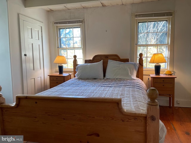 bedroom featuring multiple windows and wood-type flooring