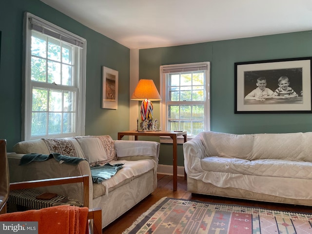 living area with dark wood-type flooring