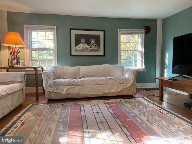 living room featuring dark wood-type flooring