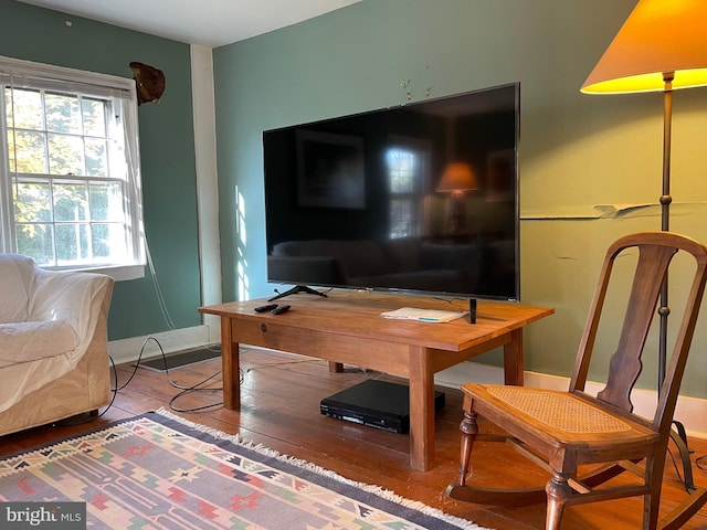 living room featuring hardwood / wood-style flooring