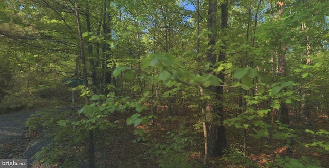 LOT20 Sugar Maple Ln, Gerrardstown WV, 25420 land for sale