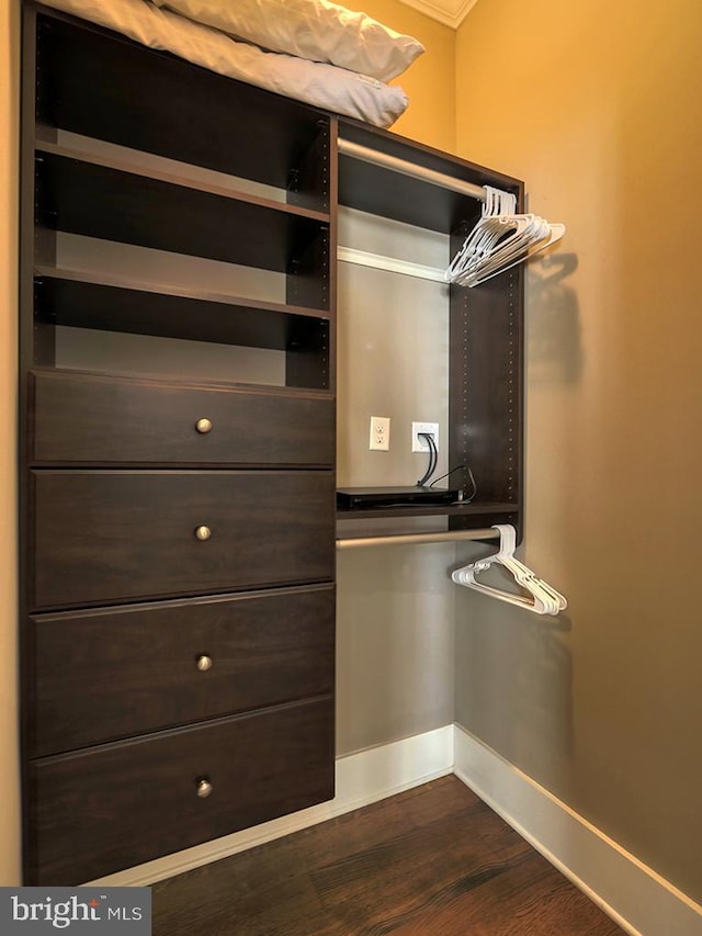 spacious closet featuring dark wood-type flooring