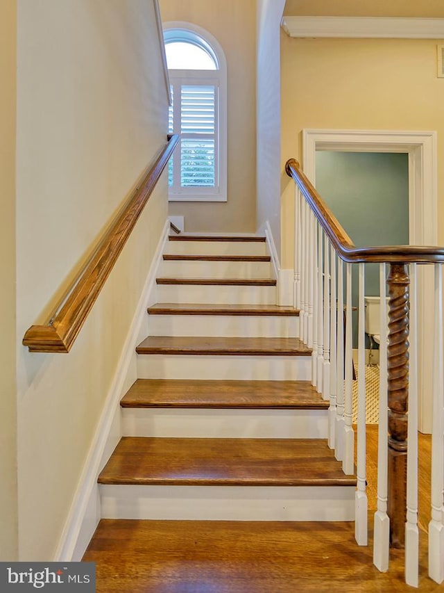 stairway with dark hardwood / wood-style flooring