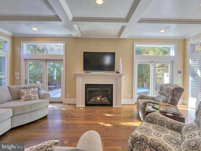 living room with dark hardwood / wood-style flooring, plenty of natural light, and coffered ceiling