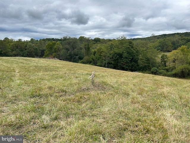 view of local wilderness