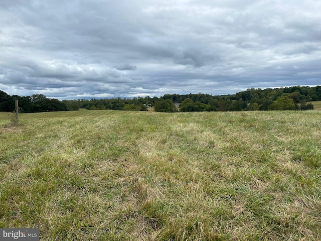 view of local wilderness with a rural view