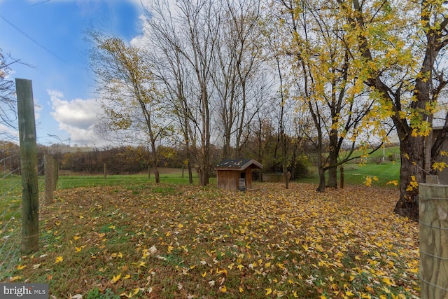 view of yard with a shed