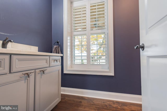 bathroom with hardwood / wood-style flooring and sink