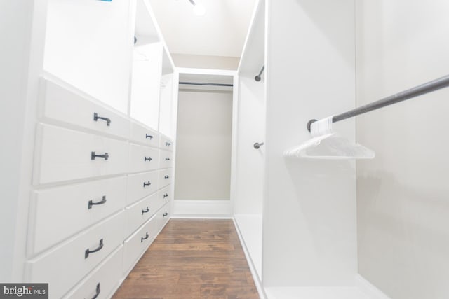spacious closet featuring dark hardwood / wood-style flooring