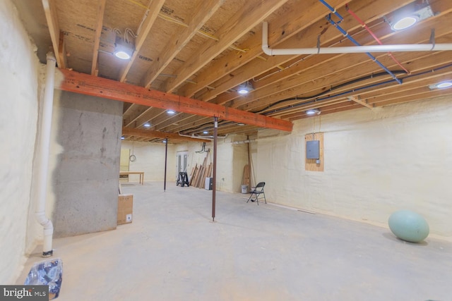 basement with electric panel