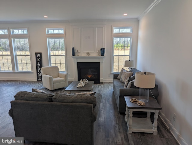 living room with crown molding and dark wood-type flooring