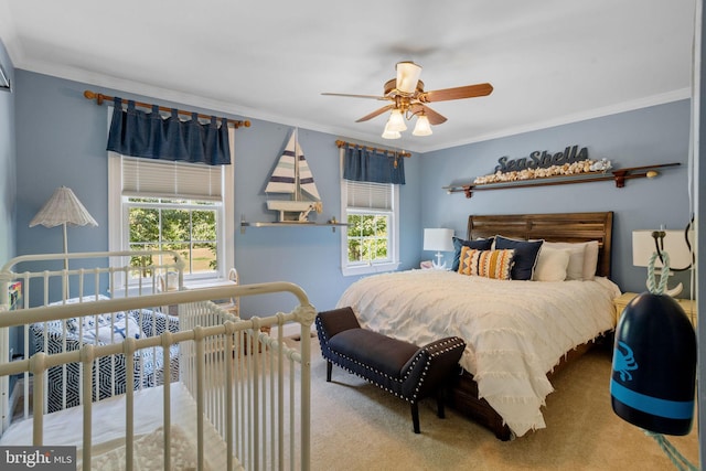 carpeted bedroom with multiple windows, crown molding, and ceiling fan