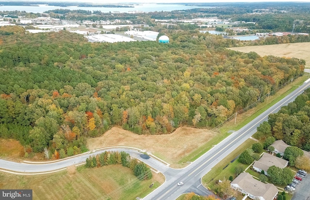 Listing photo 2 for Stone Boundary Rd, Cambridge MD 21613