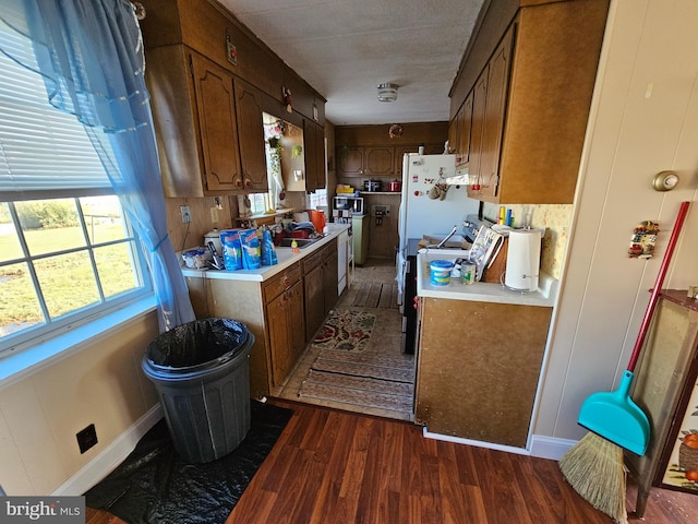 kitchen featuring dark hardwood / wood-style flooring and sink