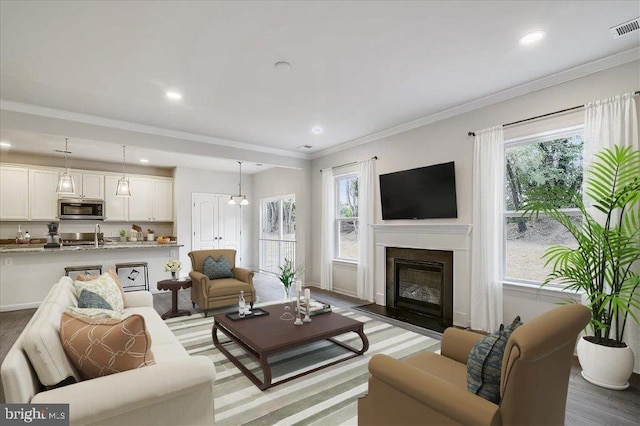 living room featuring crown molding and wood-type flooring