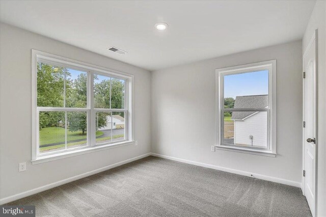 carpeted empty room featuring plenty of natural light