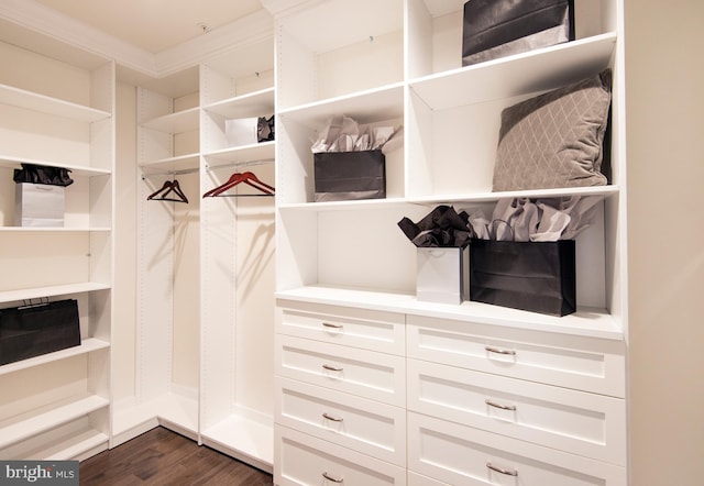 walk in closet featuring dark wood-type flooring