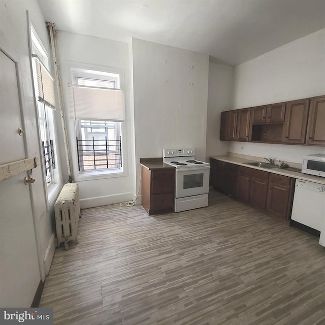 kitchen featuring a sink, white appliances, wood finished floors, and radiator