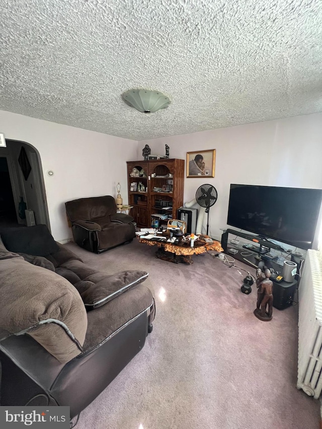 living room featuring carpet flooring and a textured ceiling