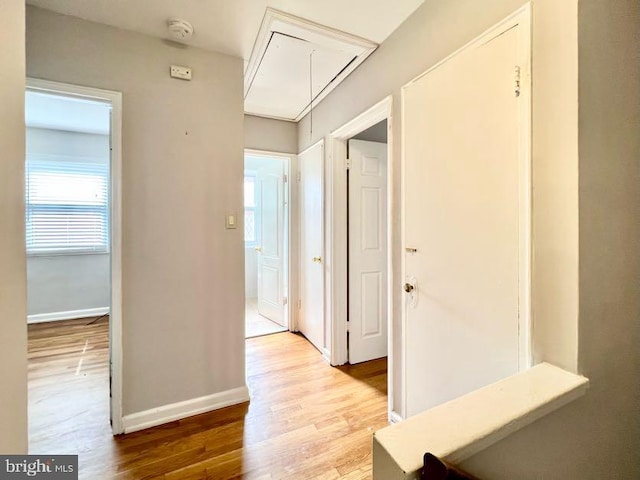 hall with a wealth of natural light and hardwood / wood-style flooring