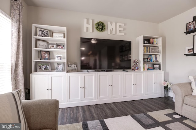 living room featuring dark hardwood / wood-style flooring