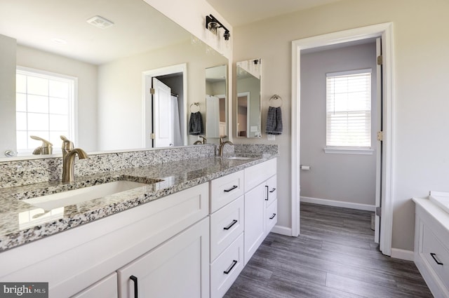 bathroom featuring hardwood / wood-style flooring and vanity