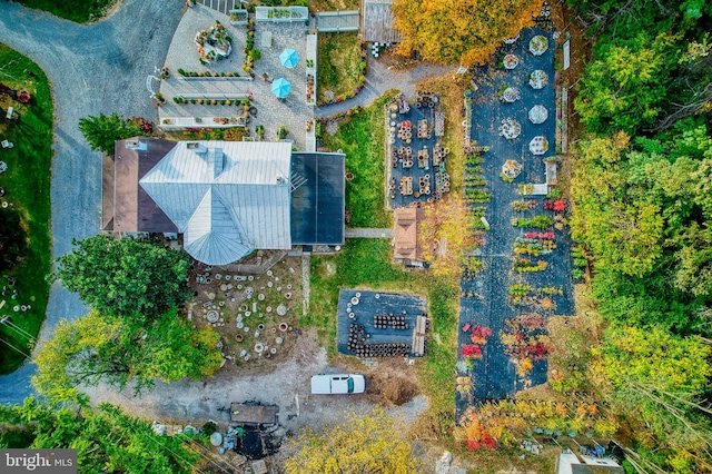 view of bird's eye view