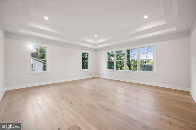 empty room with a raised ceiling and light wood-type flooring