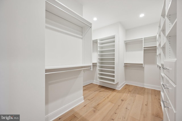 spacious closet with wood-type flooring