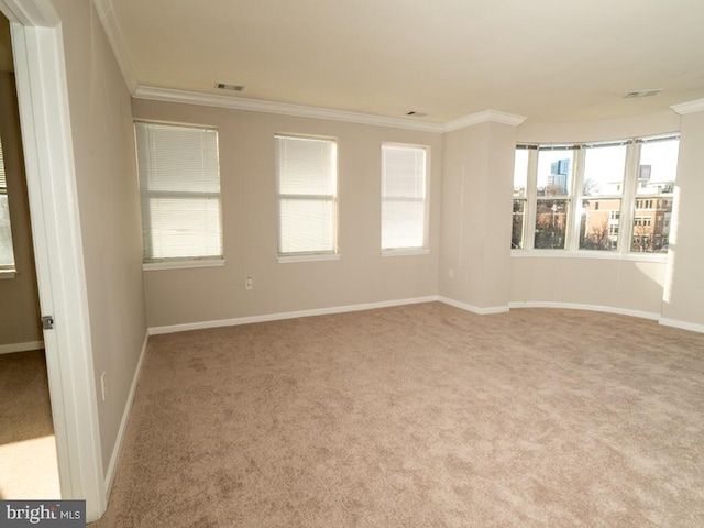 carpeted spare room featuring ornamental molding