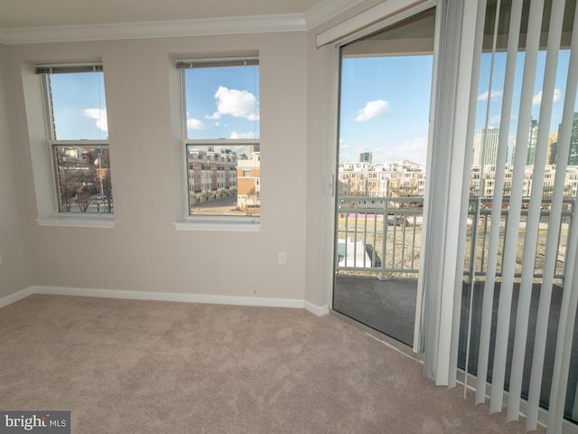 spare room featuring ornamental molding and light carpet