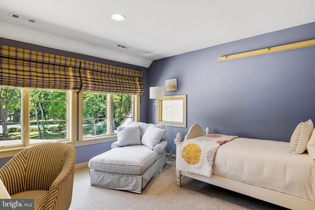 bedroom with light colored carpet