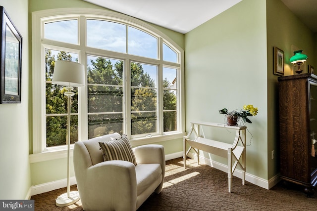 sitting room with plenty of natural light and dark carpet