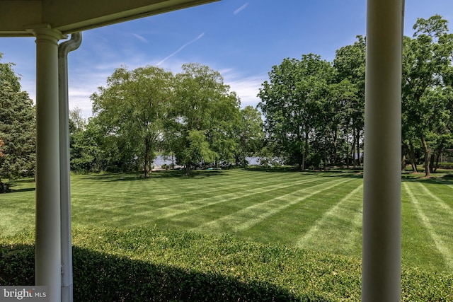 view of yard