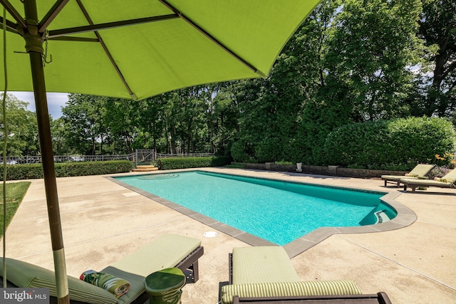 view of swimming pool featuring a patio