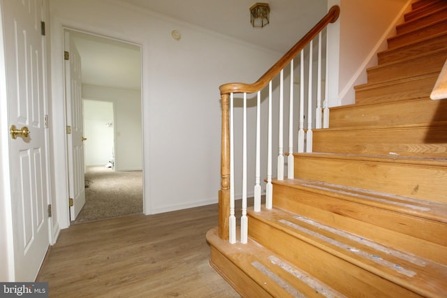 stairs with crown molding and hardwood / wood-style floors