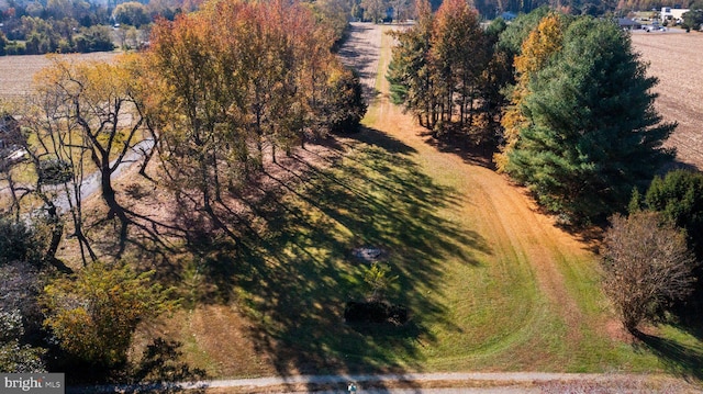 bird's eye view featuring a rural view