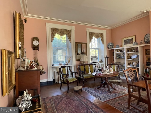 living area featuring ornamental molding, dark wood-type flooring, and radiator