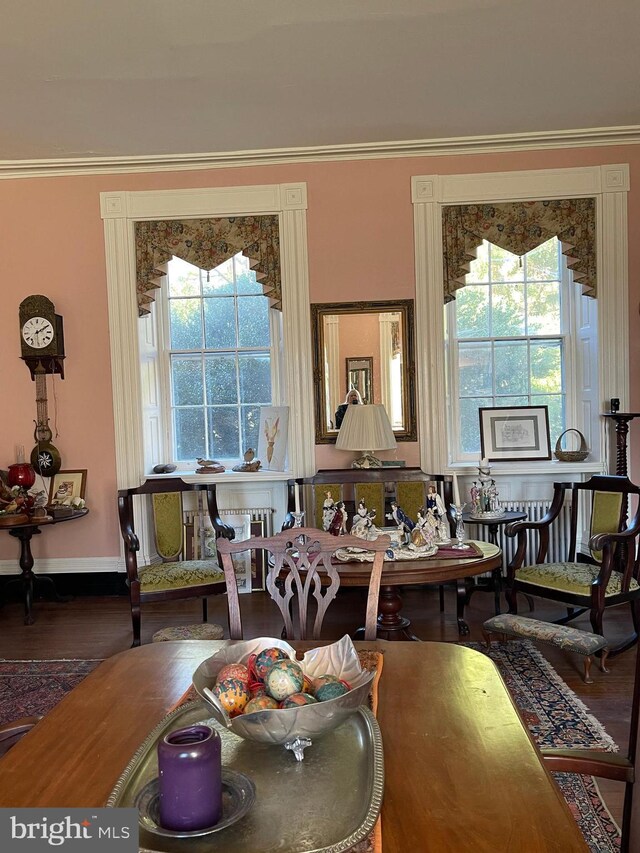 dining space featuring hardwood / wood-style flooring