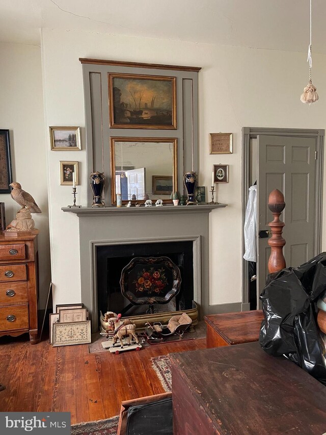 living room with dark hardwood / wood-style flooring