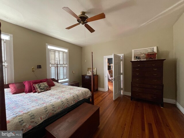 bedroom with ceiling fan, a spacious closet, and hardwood / wood-style flooring