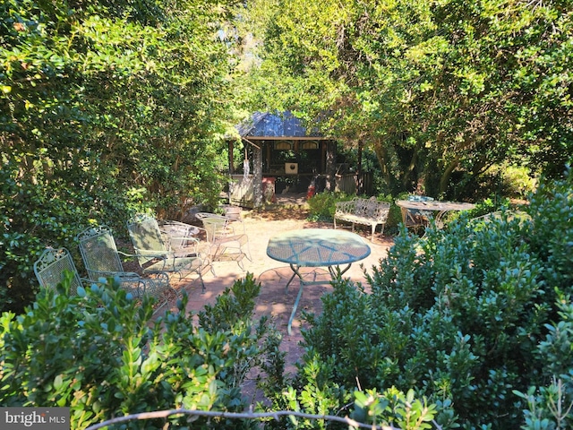 view of yard with a patio