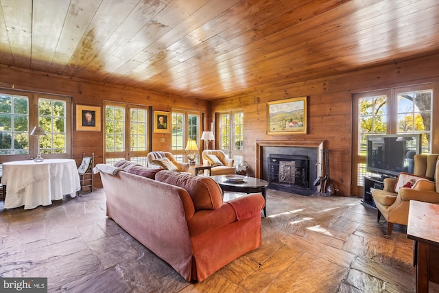 living room featuring a fireplace, plenty of natural light, and wooden walls