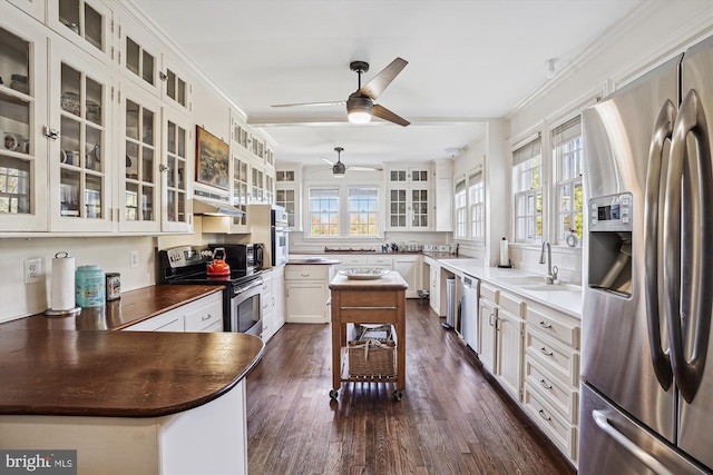 kitchen with white cabinetry, sink, stainless steel appliances, dark hardwood / wood-style floors, and ornamental molding