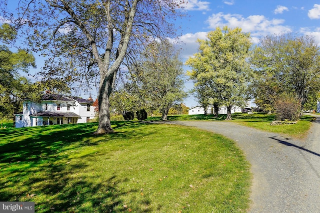 view of road