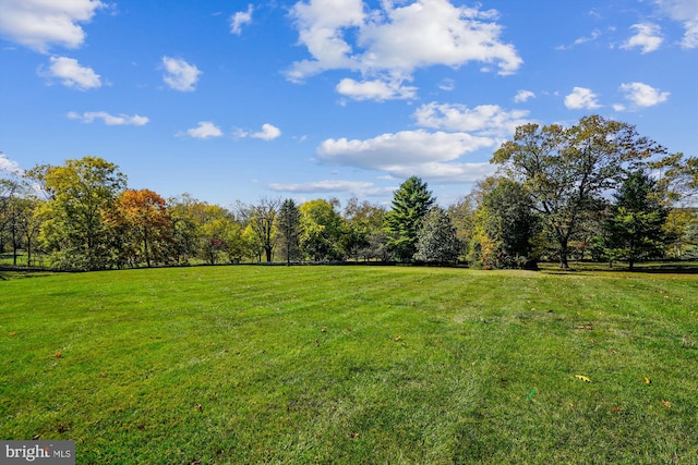 view of yard