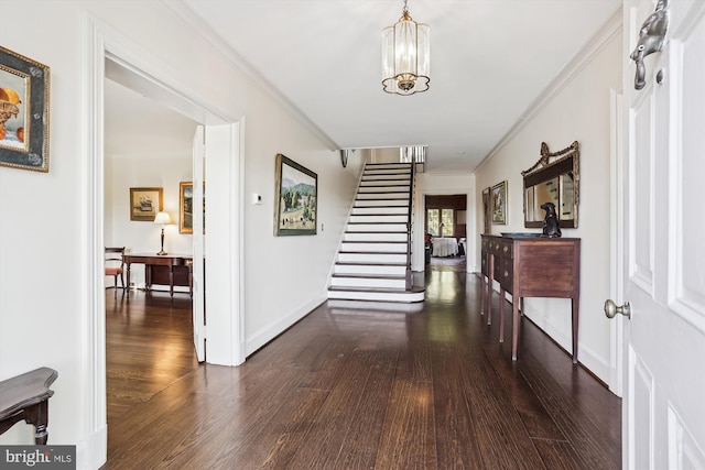 corridor with a notable chandelier, dark hardwood / wood-style floors, and ornamental molding