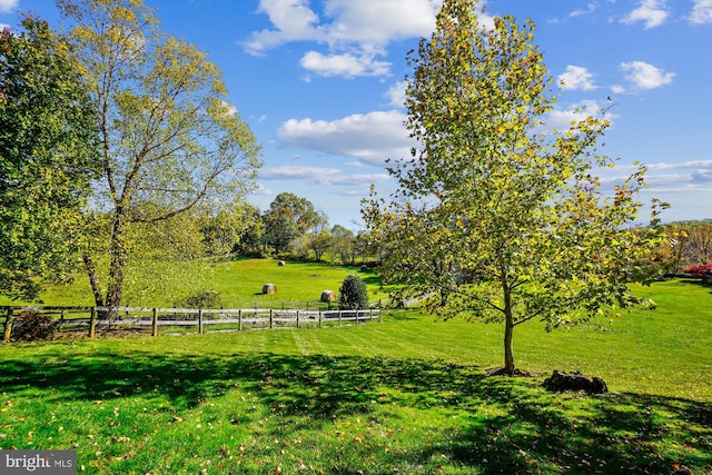 view of yard featuring a rural view