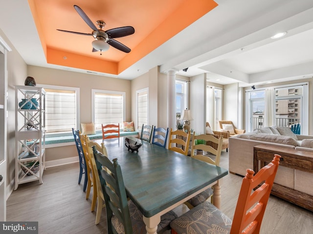 dining room featuring plenty of natural light, a tray ceiling, ceiling fan, and light wood-type flooring