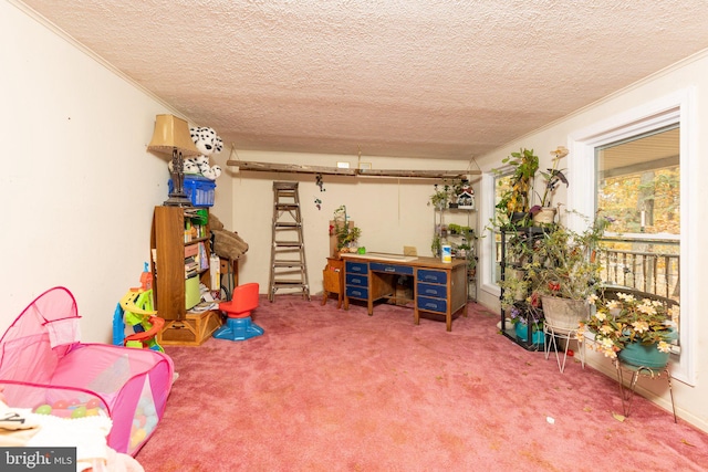 rec room featuring a textured ceiling, carpet flooring, and crown molding